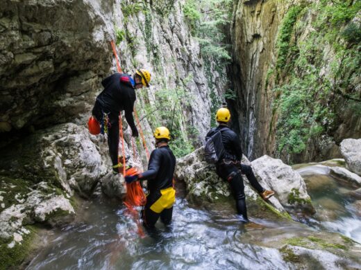 Séjour en pleine nature : un cadre idyllique pour vous ressourcer