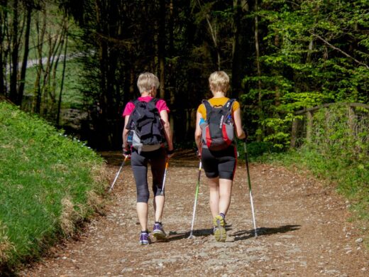 Séjour en pleine nature : un cadre idyllique pour vous ressourcer